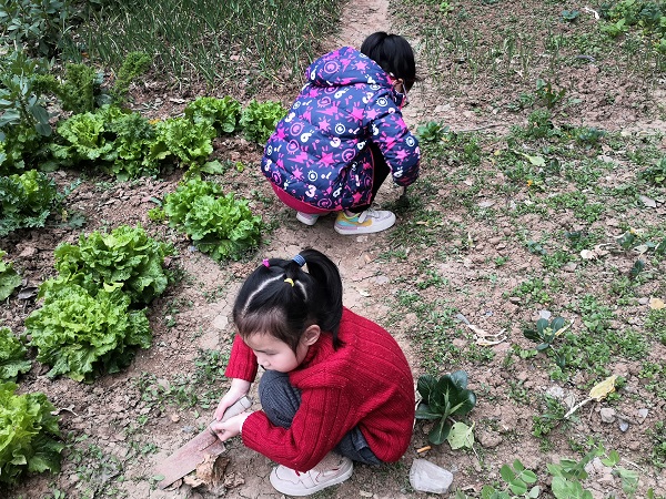 1 (7) - 600.jpg