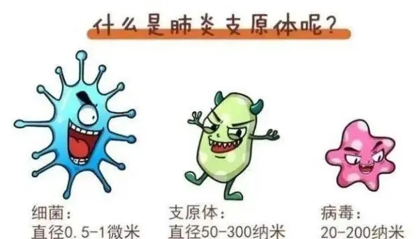 图片1 图片1.png