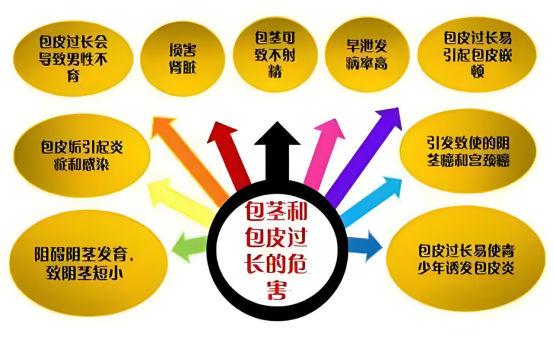寿县人民医院泌尿外科包皮宣传2446 寿县人民医院泌尿外科包皮宣传2446.png