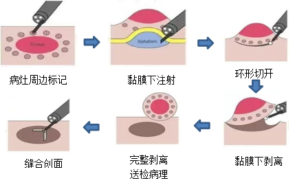 图片3 图片3.png