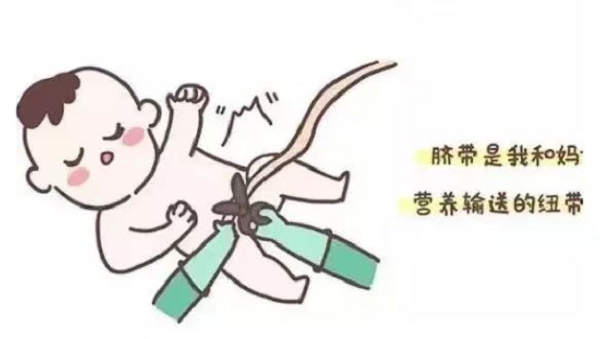 图片2 图片2.png