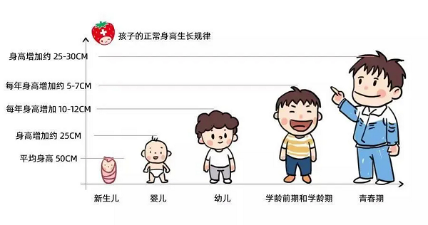图片2 图片2.png